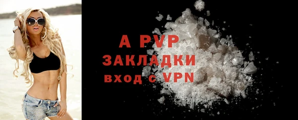 прущие грибы Богородицк