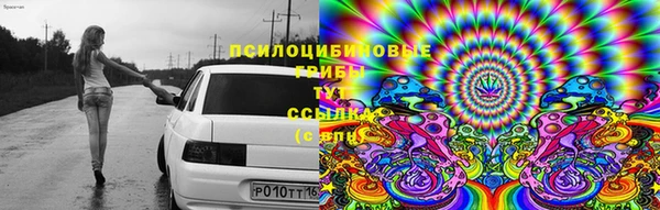 каннабис Арсеньев