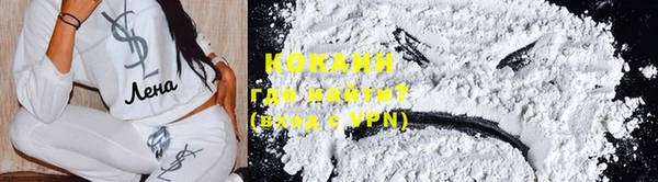 прущие грибы Богородицк