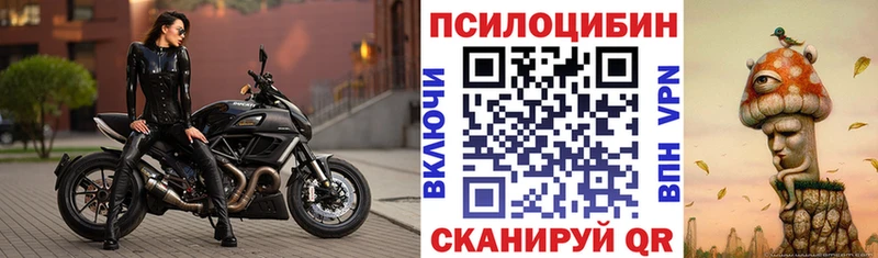 Псилоцибиновые грибы Psilocybe Нея