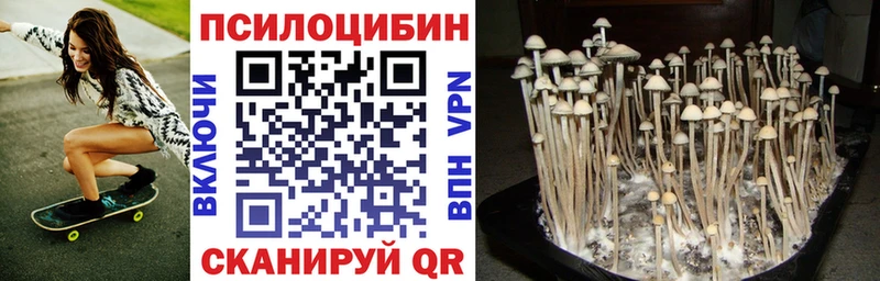 Галлюциногенные грибы Psilocybine cubensis  Нея 